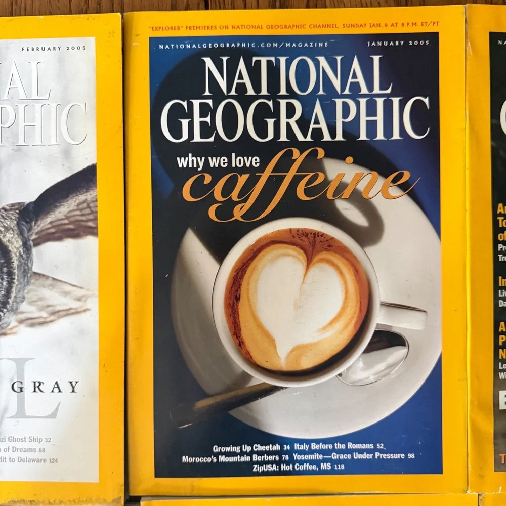 National Geographic Magazine Lot of 6 2001 2004 2005 Hawaii Owl Scarabs Africa
